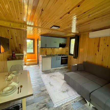 Avohomes