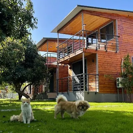 Holiday home Avohomes