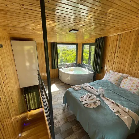 Avohomes * Φετιγιέ
